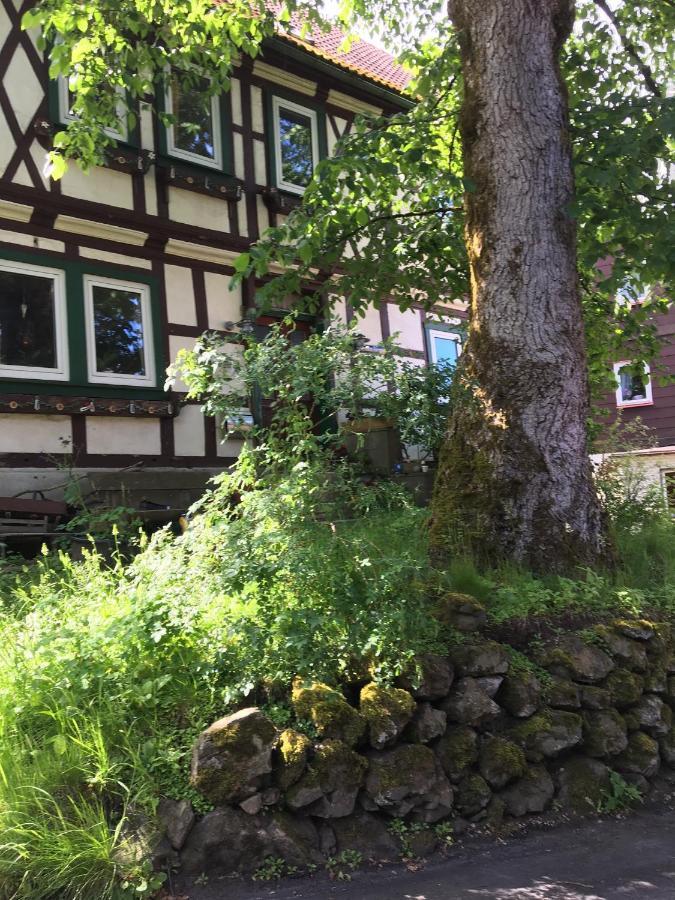 Ferienwohnung Harzblick 1 Braunlage Exterior foto